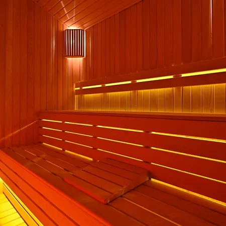 Skylight Goecek 费特希耶